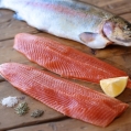 Fish of the Month Club